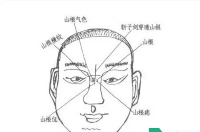 论疾厄宫「面相学」|疾厄宫|直纹|印堂_新浪网