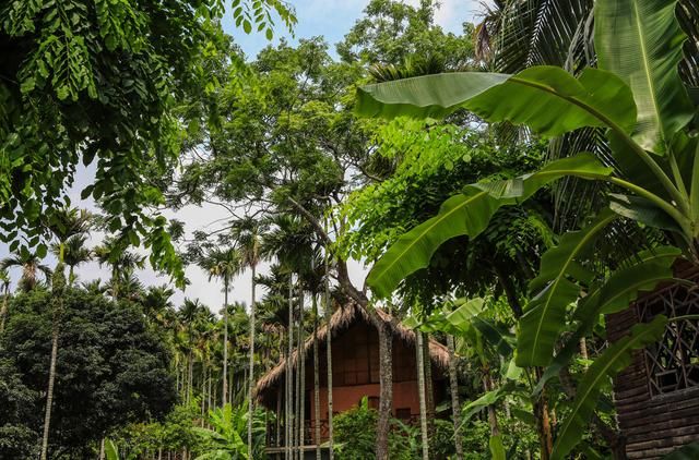 春节带孩子去三亚玩,妈妈们都爱去这5个地方