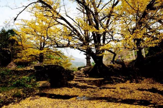 贵州省哪个地方最适合居住?!