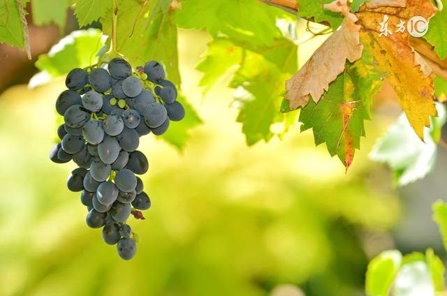 这是一篇幼儿性教育文章,却收到了最五花八门