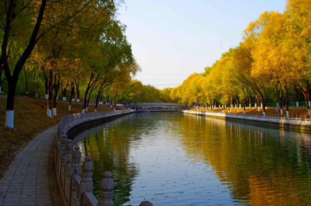 冬日的北京公园风景别样,风景依旧迷人