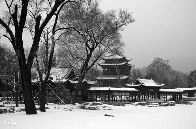 诗经中风雅七采之小雅篇下杨柳雨雪采薇采芑