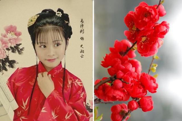 史湘云:海棠花有"睡美人"之誉,性格开朗爽快,不拘小节,有江湖儿女的