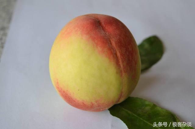 心理测试:选一个长的最好看的桃子,测你新的一