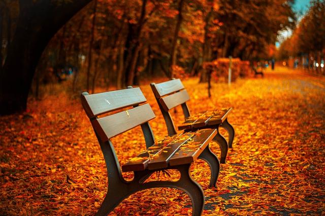秋天,满地落叶,看着路边的长椅,也许曾经这里发生着不少动人的故事.