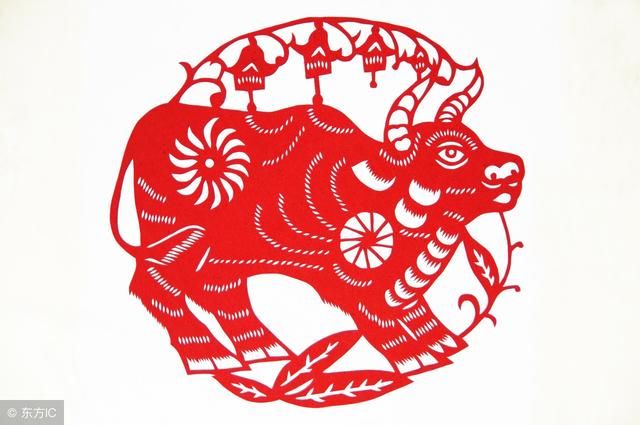 全面解析1961-2009年生肖牛一生运势