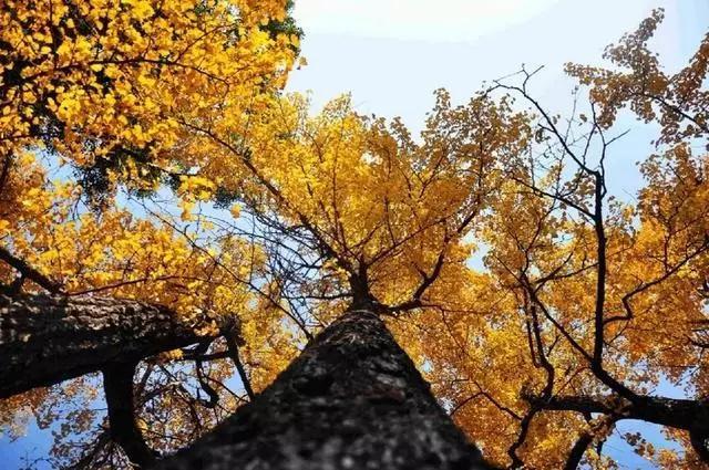 贵州省哪个地方最适合居住?!