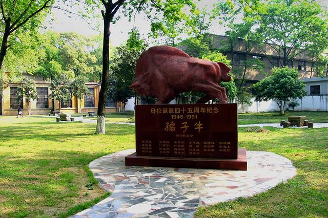 这所顶尖211大学, 已超过部分985, 高出一本线