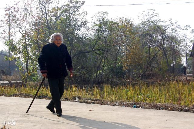 ��Щ��ĸ�������Ļѣ����������������棬�㻹�ǵü���