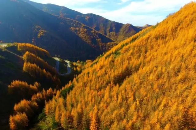 六盘山,是中国最年轻的山脉之一,人们常说的鬼门关是里面的二龙河