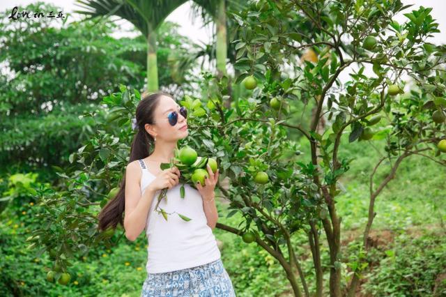 去海南的另一种玩法,你一定没有体验过