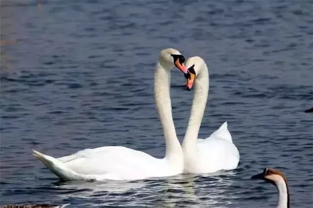 2018全域旅游迎开门红,泰安新增13家国家级