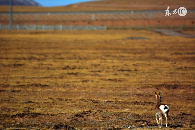 瞬息万变的世界,没有什么是永久
