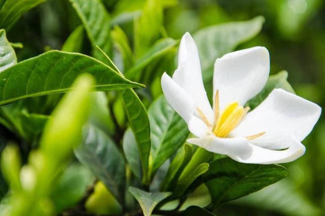 人穷志短(精辟、无奈、句句扎心)