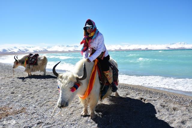 去西藏旅游，一趟下来需要花费多少钱？