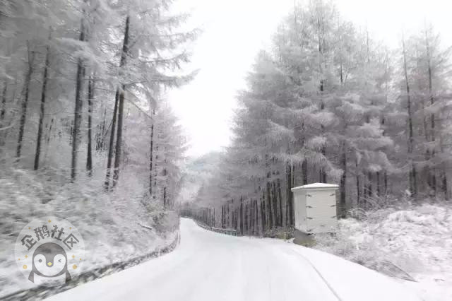 冬天怎么能错过耍雪 重庆周边10大滑雪场全攻略