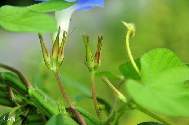 如何让你内心充满爱?