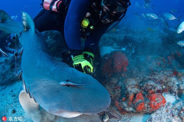 关岛、塞班岛及10年美签出新规,还有更多潜水