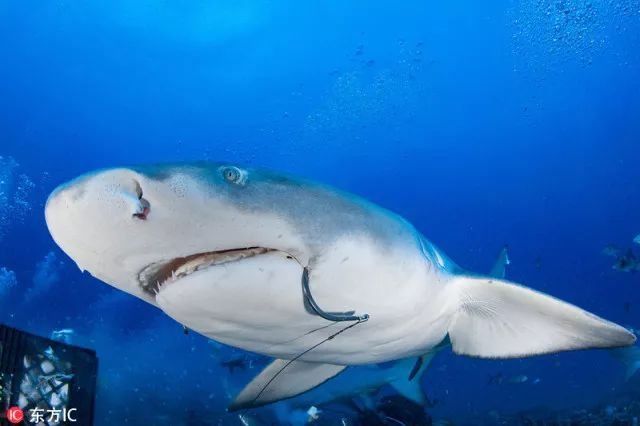 关岛、塞班岛及10年美签出新规,还有更多潜水