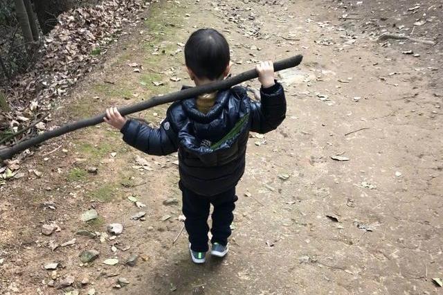 杨乐乐晒汪涵3岁的儿子沐沐,双手背着木棍,担负起家庭的重担?