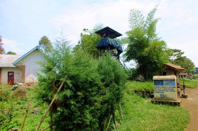 刚果金,一切都是军事机密?