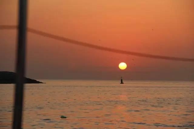 阿联酋与中国实行互免签证政策!迪拜,终于可以