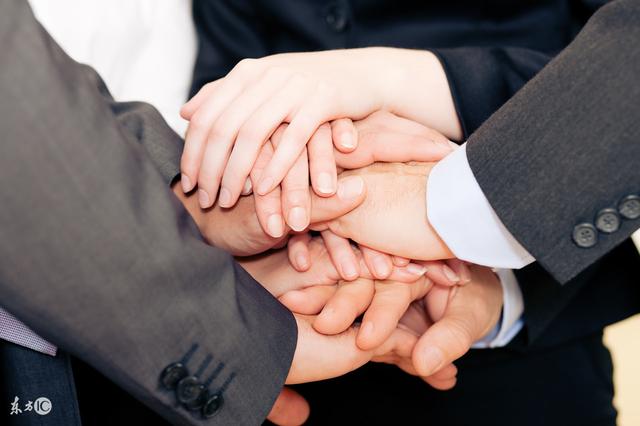 创业小故事--动物篇