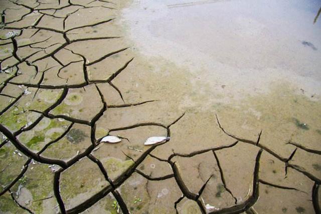 地球上的水真的越来越少了吗?这里告诉你答案