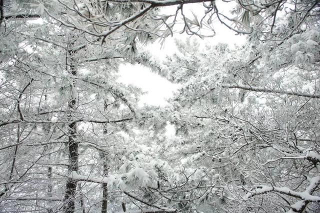 不输西岭峨眉!成都周边8大冷门耍雪地,免费不