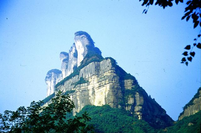 乐享森林——金佛山,神龙峡,黑山谷