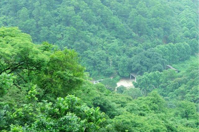 2020旅游收入省份排_2020年国庆各省旅游收入排名揭晓,最富裕是