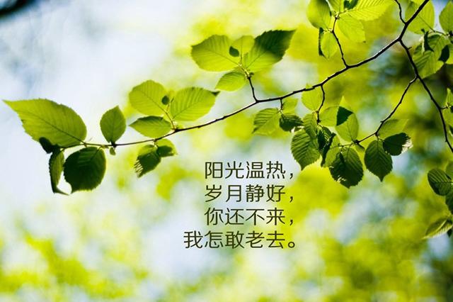 情感表白墙：我爱你，苏晓娟！我爱你！你看得到吗？