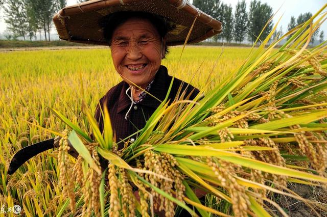 八字十神性格分析,详解正官、偏官、正印、偏