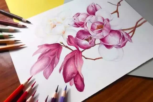 一位美女老师,教你学画画入门课程