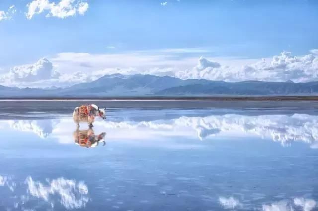 青海茶卡盐湖究竟有多美！被人称作“天空之城”，附攻略