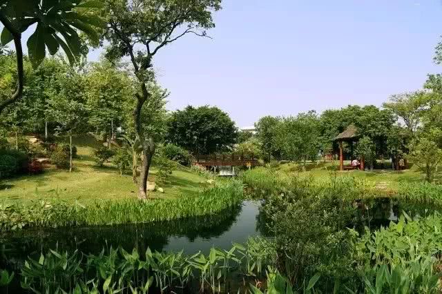 【番禺草河湿地公园 】