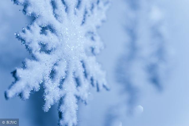 诗歌欣赏: 雪花
