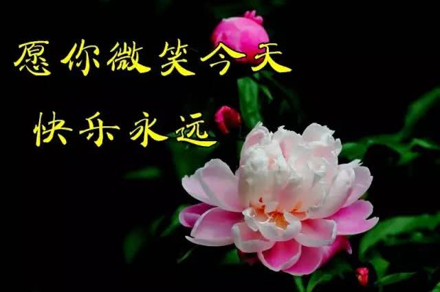 早上好元宵前祝福送给我最爱的朋友祝你开心幸福