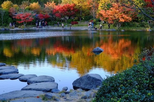 私房推荐,日本东京人气赏枫十大景点(上篇)