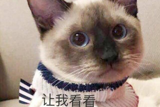 易烊千玺遇到1剧本演技,v剧本ins吐槽粉丝,难题:闭装可爱的图片表情图片