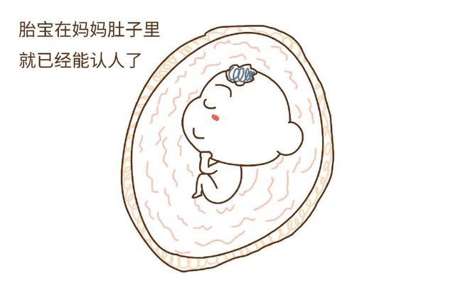 胎动的时候 为什么孩他爸一摸就不动了 难道胎宝可以认人