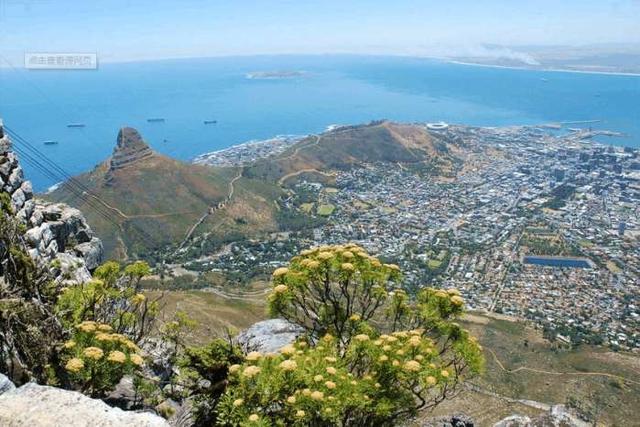 非洲这个发达国家没有黑人,混血美女成堆,中国