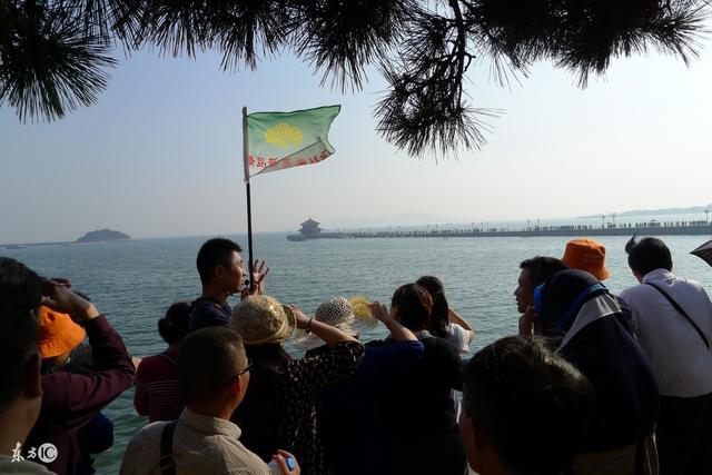 你旅行喜欢跟团还是自由行呢?为啥出境游跟团