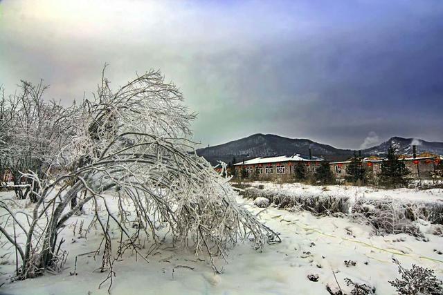 东北有一个雪村 大雪过后的美景 你看了也想到此一游