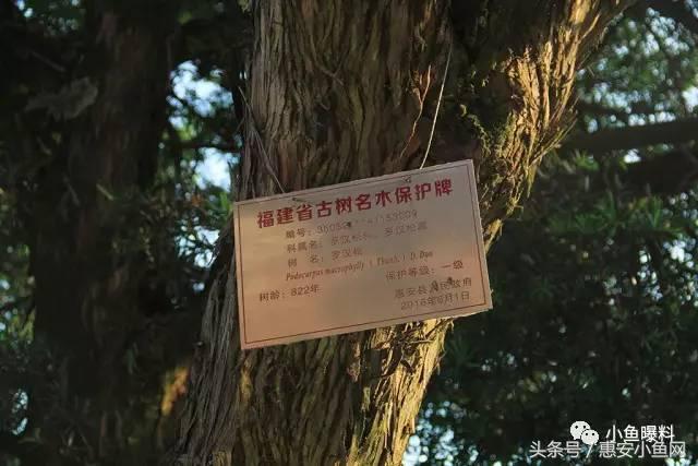 小鱼探秘|虎屿岩--一个充满传说的地方,有会下