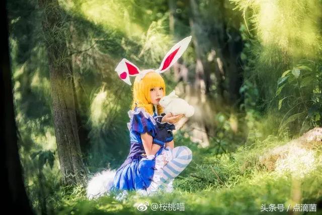 cosplay妲己爱丽丝,王者荣耀cos偶像季 王者荣耀妲己cosplay,爱丽丝皮肤美美哒~!