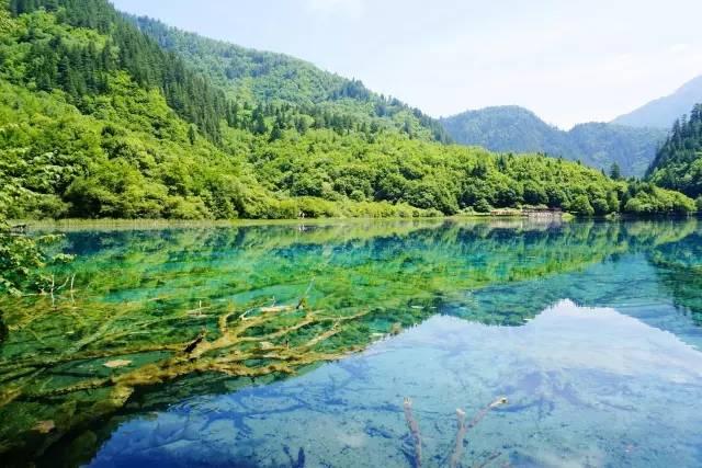 何必到深秋夏天的九寨沟就足够惊艳还能过20的夏天