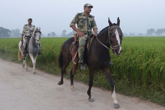 印军宣称全线大捷:共打死138名巴基斯坦军人