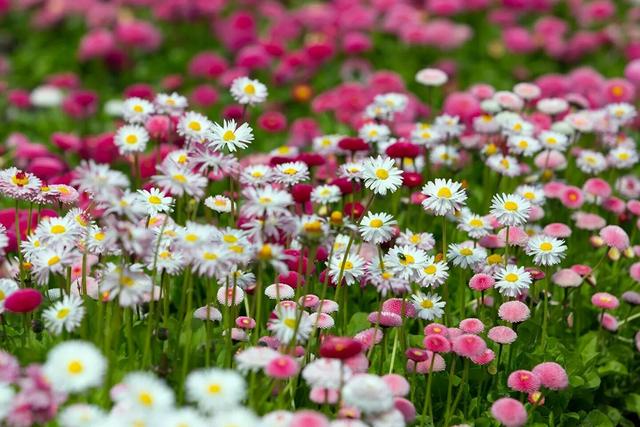 朋友圈早安心语，美图心情句子，周末愉快