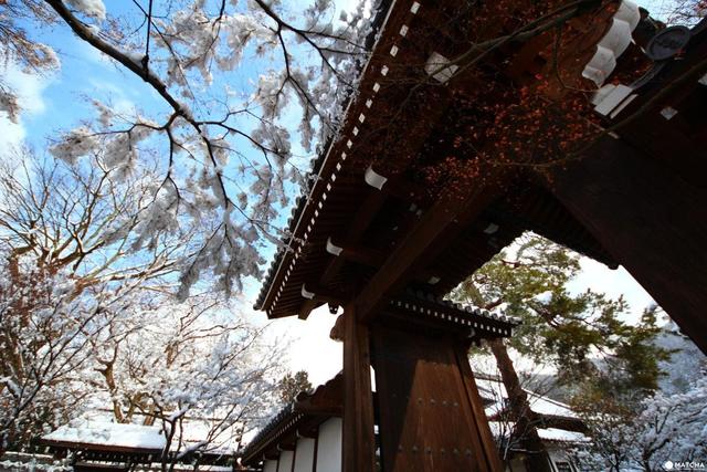 「日本旅游必读」12月~2月冬季日本旅游,衣食